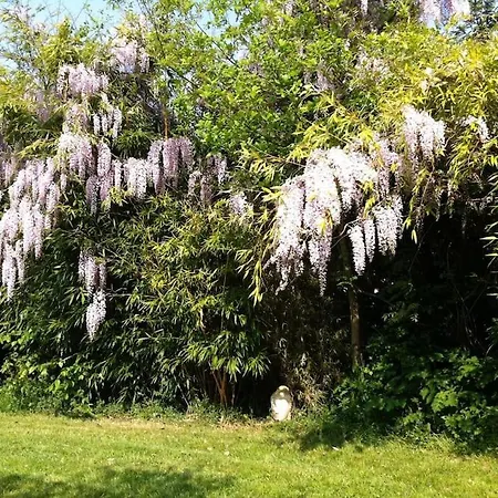 Vue Panoramique Sur Vallee De La Seine Et Foret Chartrettes